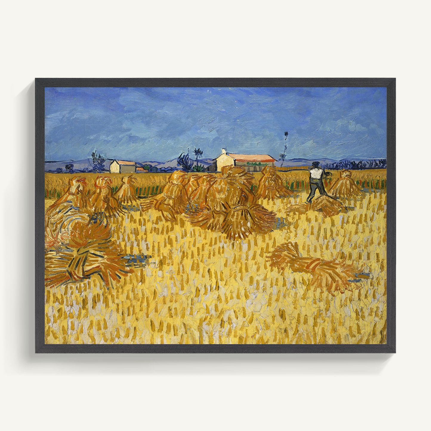 Harvest of Provence