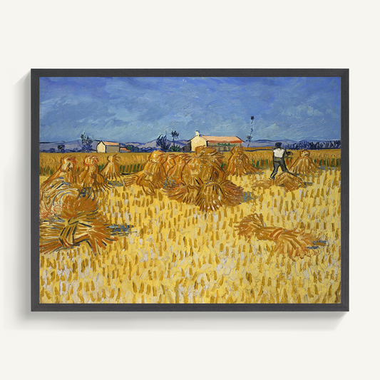 Harvest of Provence