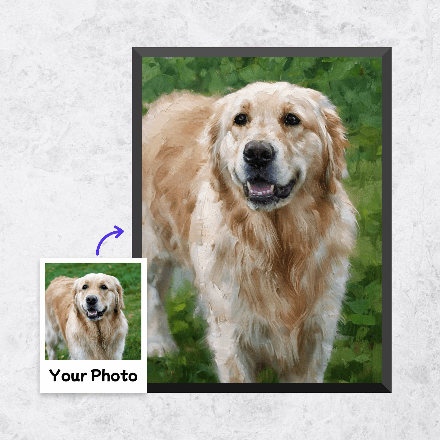 Pet Portrait