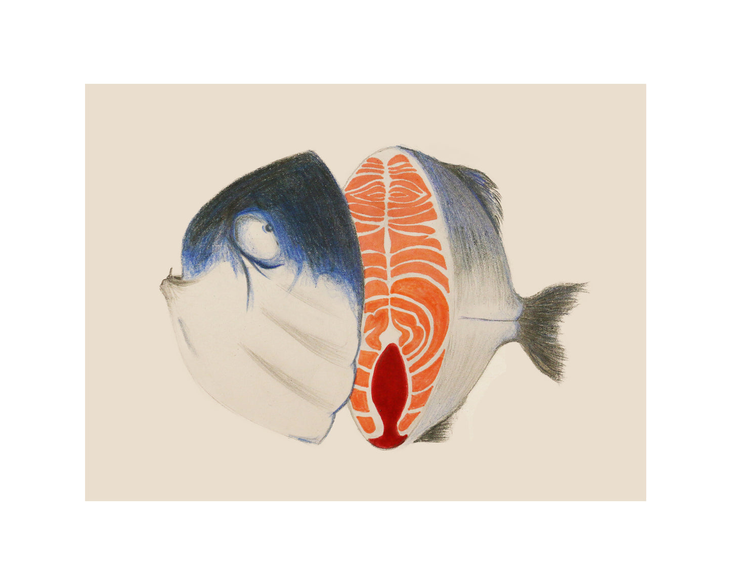 Salmon