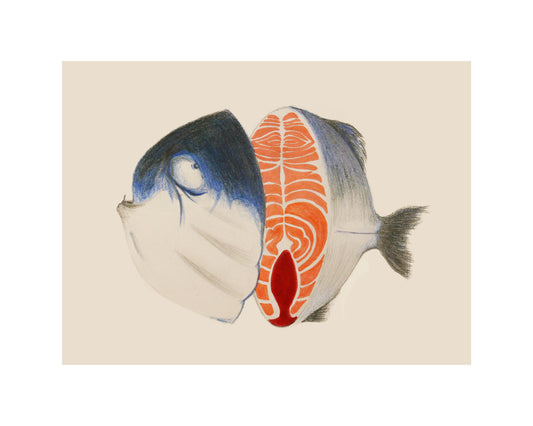 Salmon