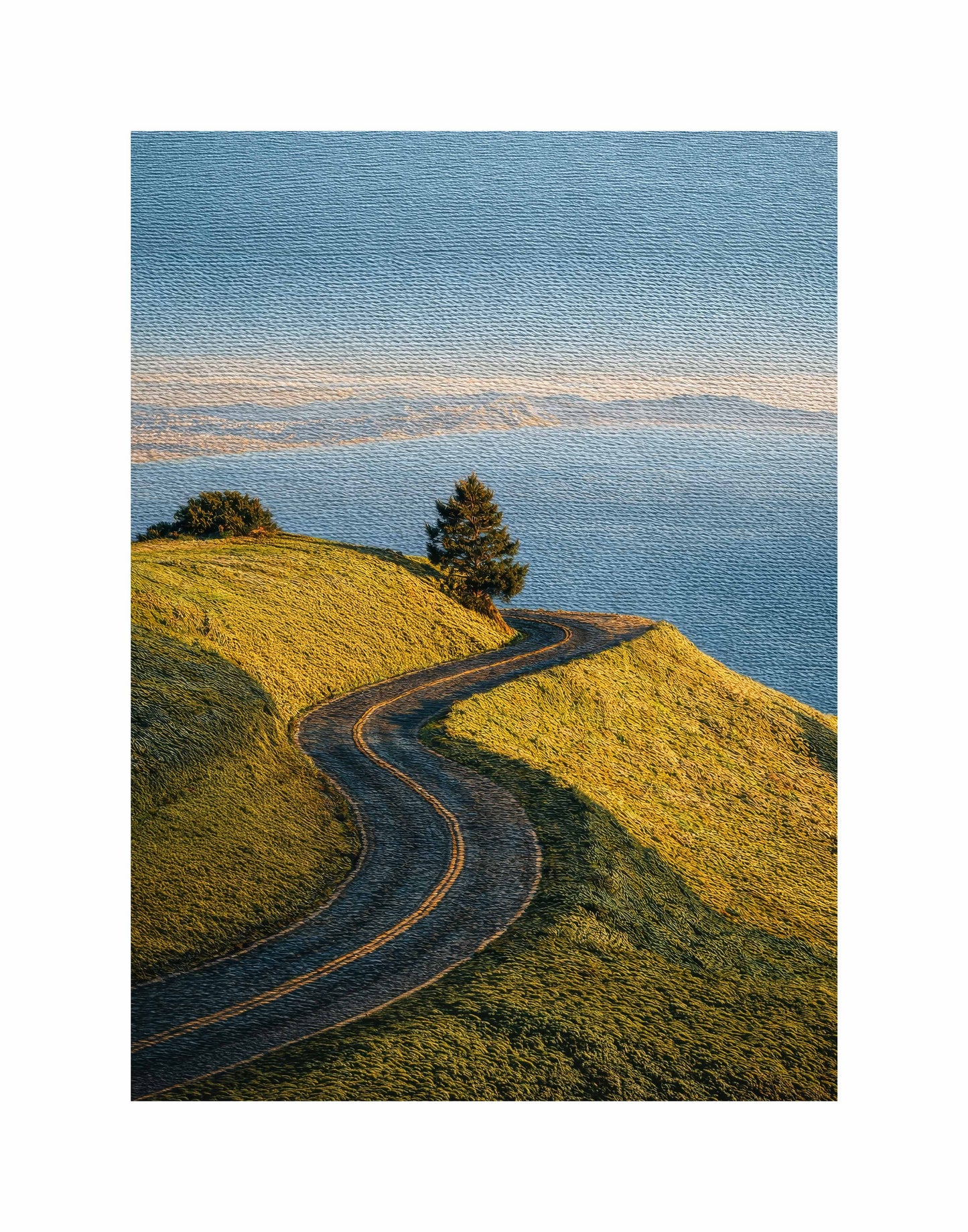 SF Textured Print Large(11x14)