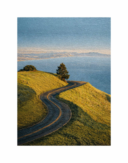 SF Textured Print Large(11x14)